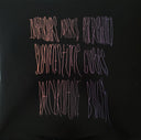 Animal Collective - Merriweather Post Pavilion (2xVINYL) | Mint (M) Mint (M)