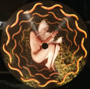 A Perfect Circle - Thirteenth Step | Mint (M) Mint (M)