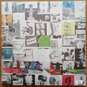 Animal Collective - Time Skiffs | Mint (M) Mint (M)
