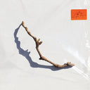 PJ Harvey - I Inside the Old Year Dying | Mint (M) Mint (M)