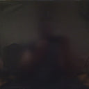 Animal Collective - Merriweather Post Pavilion (2xVINYL) | Mint (M) Mint (M)