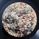 Big Thief - Dragon New Warm Mountain I Believe In You | Mint (M) Mint (M)