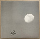 Spoon - Girls Can Tell | Mint (M) Mint (M)