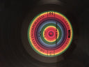 Freedom’s Goblin (2xVINYL) | Mint (M) Mint (M)