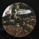 Carla dal Forno - Look Up Sharp | Mint (M) Mint (M)