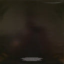 Animal Collective - Merriweather Post Pavilion (2xVINYL) | Mint (M) Mint (M)