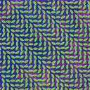 Animal Collective - Merriweather Post Pavilion (2xVINYL) | Mint (M) Mint (M)