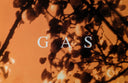 Gas - Königsforst | Mint (M) Mint (M)