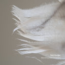 Marching With Feathers *CD* | Mint (M)