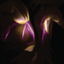 Shedir - Before The Last Light Is Blown | Mint (M) Mint (M)