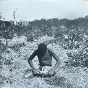 Carlos Casas - Kamana | Mint (M) Mint (M)