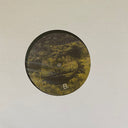 Six Songs For Invisible Gardens | Mint (M) Mint (M)