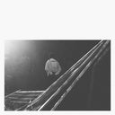 AMBY DOWNS - I Am Holding My Breath |