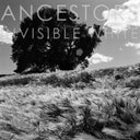 Ancestors - Invisible White (OPAQUE GRAY VINYL) [Vinyl]