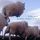 ANDERS DAHL - Hundloka, flockblomstriga 1 |