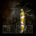 ANDERS ILAR - Elva |