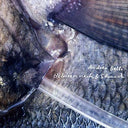 ANDREA BELFI - Between Neck & Stomach |