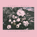 ANDREA BELFI - Natura Morta |