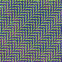 Animal Collective - Merriweather Post Pavilion [CD]