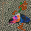 Animal Collective - Tangerine Reef |