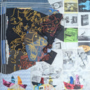Animal Collective - Time Skiffs | Mint (M) Mint (M)