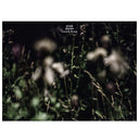 ANNELI DRECKER - Rocks & Straws |