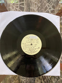 Aphex Twin - ...I Care Because You Do | Mint (M) Mint (M)