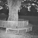 A New Place 2 Drown (Instrumentals) [Vinyl]