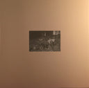 Arctic Monkeys - Humbug (VINYL) | Mint (M) Mint (M)