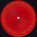 Art Garfunkel - Watermark | Very Good Plus (VG+) Very Good Plus (VG+)