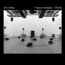 Arto Lindsay - 7 Types of Ambiguity - A Parade [Vinyl]