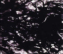 ASVA - Presences Of Absences |