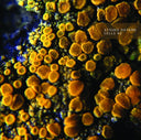 ATSUKO HATANO - Cells #2