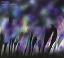 AUDISION - Surface To Surface |