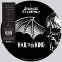 Hail To The King (2LP Picture Disc) | Mint (M) Mint (M)