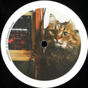 Average Joe (8) - Cool Cat EP | Mint (M) Generic