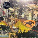 Bell Orchestre - Recording A Tape The Colour Of The Light (CLEAR VINYL) | Mint (M) Mint (M)