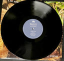 Belle & Sebastian - Late Developers | Mint (M) Mint (M)