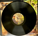 Belle & Sebastian - Late Developers | Mint (M) Mint (M)