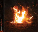 Ben Fuller - Walk Through Fire |