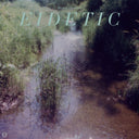Eidetic [CD]