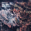 BENOIT PIOULARD - Sylva |