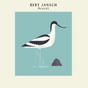 Avocet (Ltd Art Print Edition) [Vinyl]