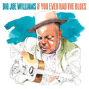 If You Ever Had The Blues [CD]