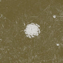 The Clear Distance [CD]