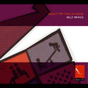 Billy Bragg - Dont Try This At Home (2xCD) | Mint (M) Mint (M)