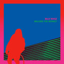 BILLY ROISZ - Walking the Monkey |