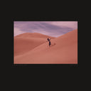 Bing & Ruth - Species (CD) | Mint (M) Mint (M)