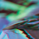 BIRDS OF PREY - Vanishing Point |