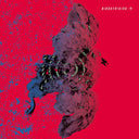 BIRDSTRIKING - Birdstriking |